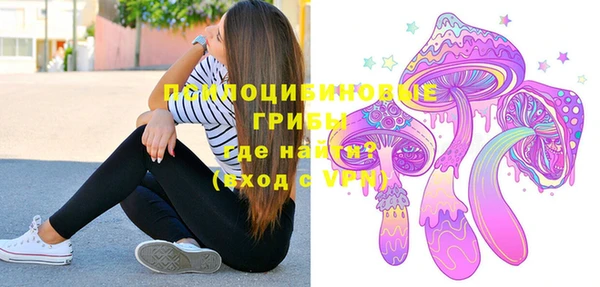 spice Алексин
